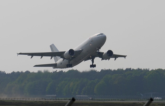 Vicepresidente regional de IATA Europa: El transporte de vacunas requiere habilitar la conectividad aérea